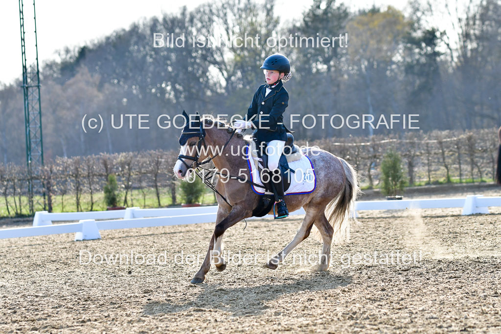 Reitsportzentrum Bremervörde | Dressurreiter WB _010 