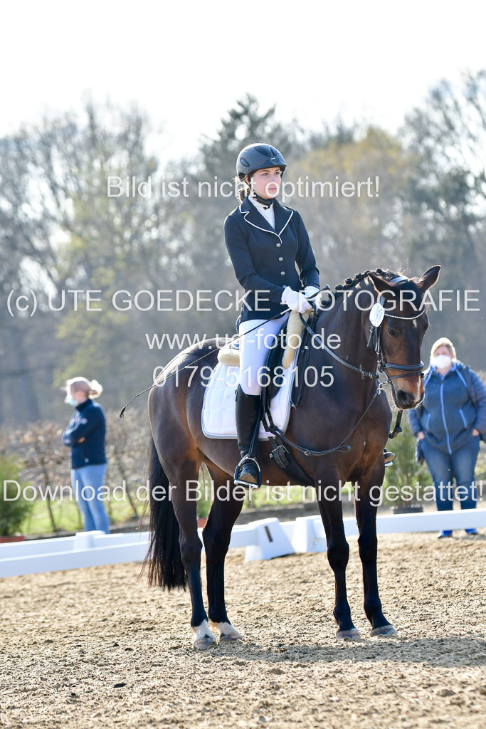 Reitsportzentrum Bremervörde | Dressurreiter WB _014