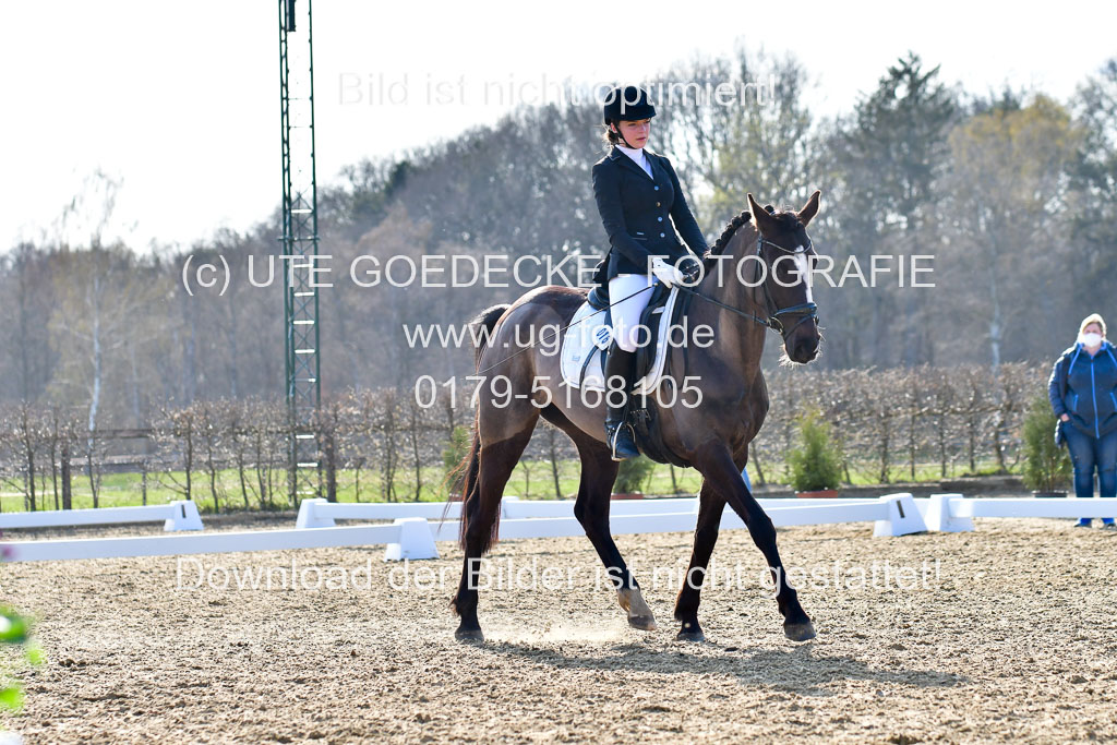 Reitsportzentrum Bremervörde | Dressurreiter WB _015
