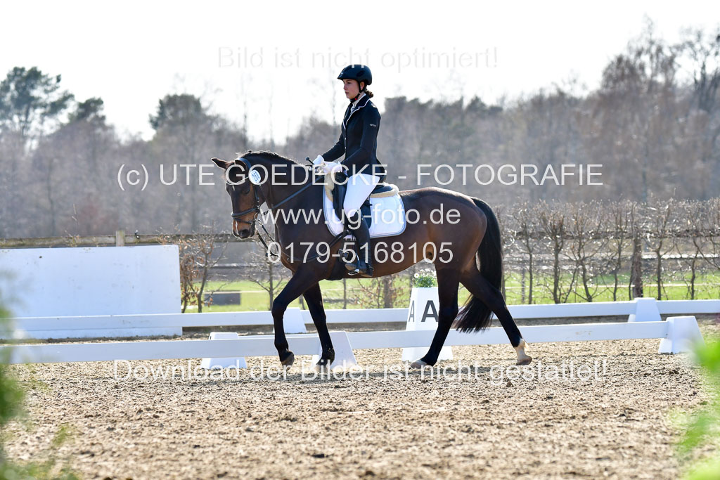 Reitsportzentrum Bremervörde | Dressurreiter WB _017 