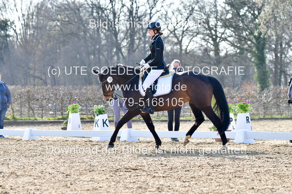 Reitsportzentrum Bremervörde | Dressurreiter WB _019 