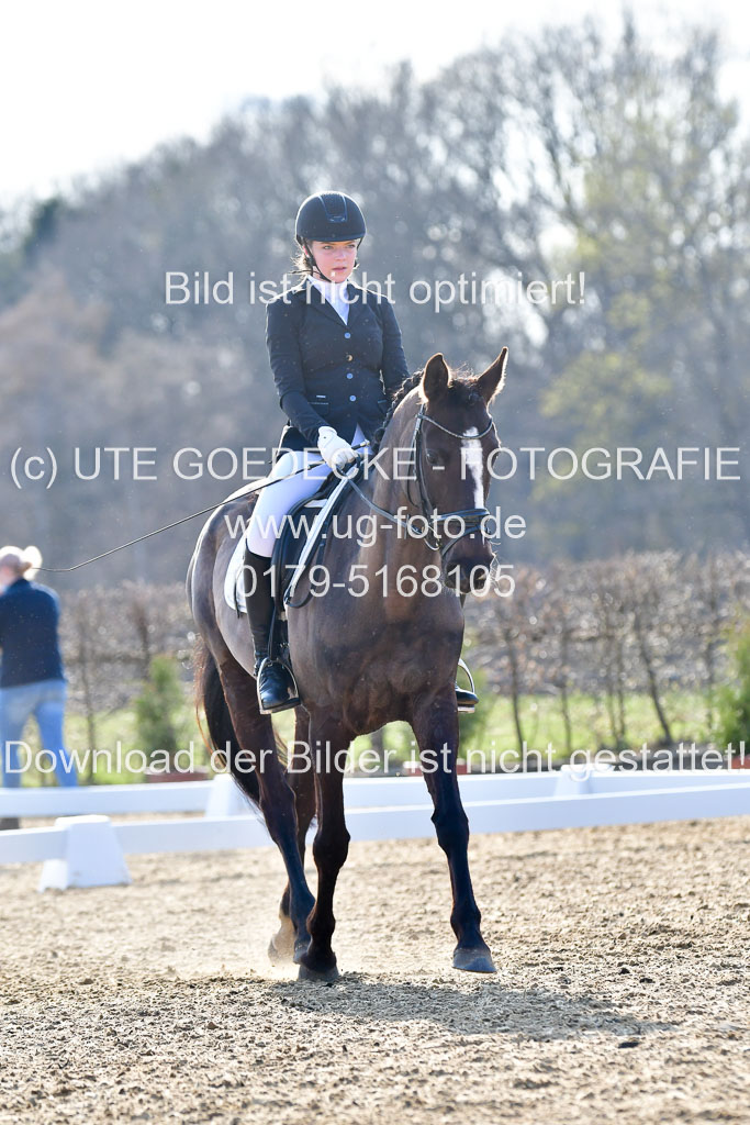 Reitsportzentrum Bremervörde | Dressurreiter WB _021 