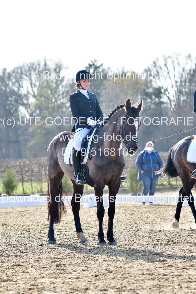 Reitsportzentrum Bremervörde | Dressurreiter WB _023 