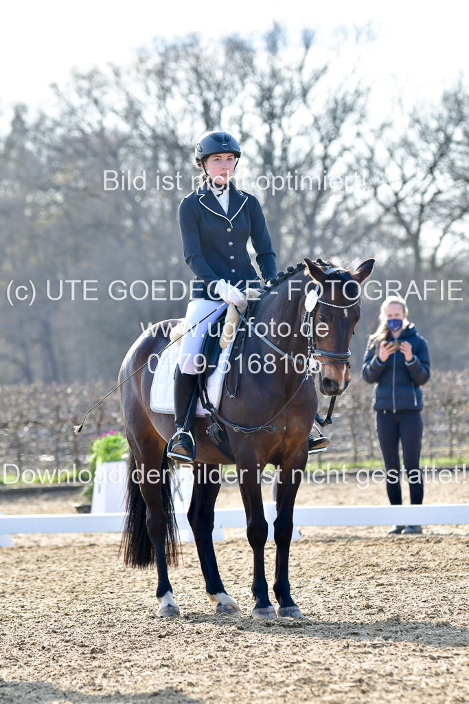 Reitsportzentrum Bremervörde | Dressurreiter WB _024 