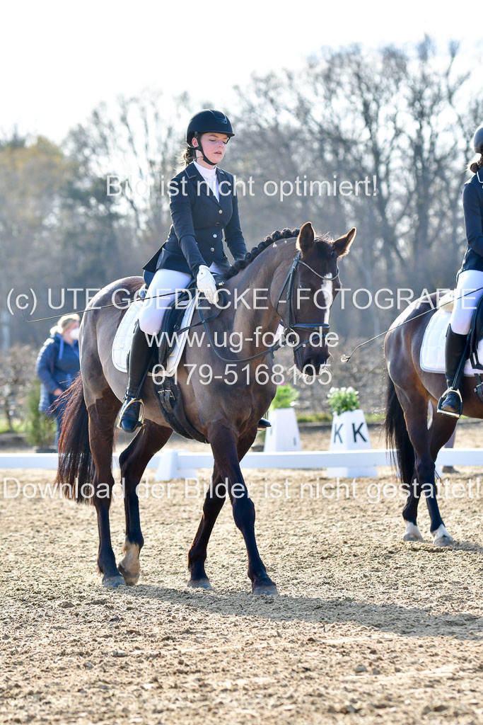 Reitsportzentrum Bremervörde | Dressurreiter WB _025