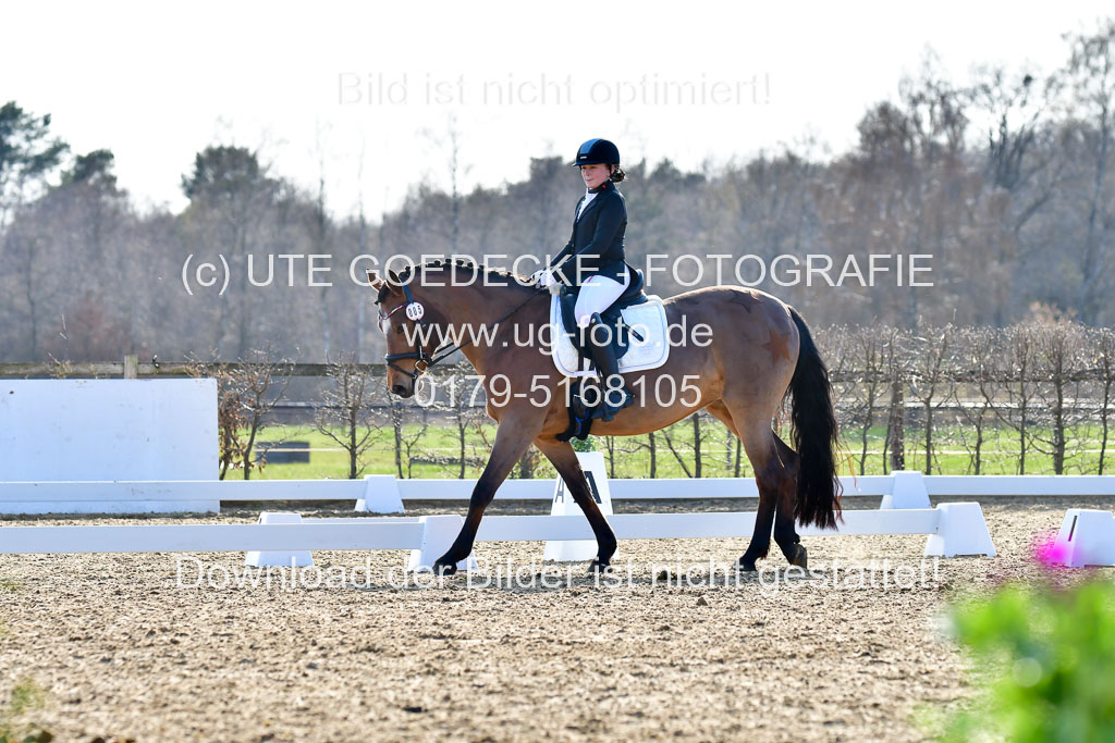 Reitsportzentrum Bremervörde | Dressurreiter WB _033