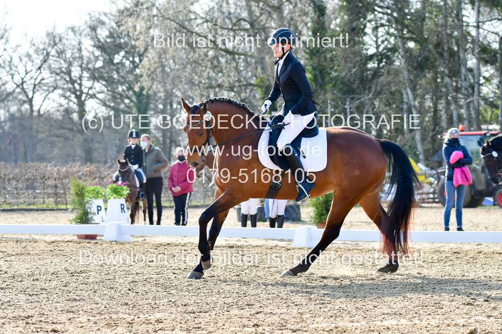 Reitsportzentrum Bremervörde | Dressurreiter WB _037 