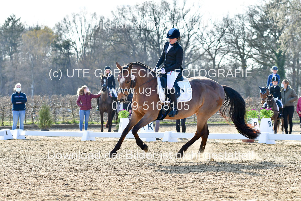 Reitsportzentrum Bremervörde | Dressurreiter WB _039 