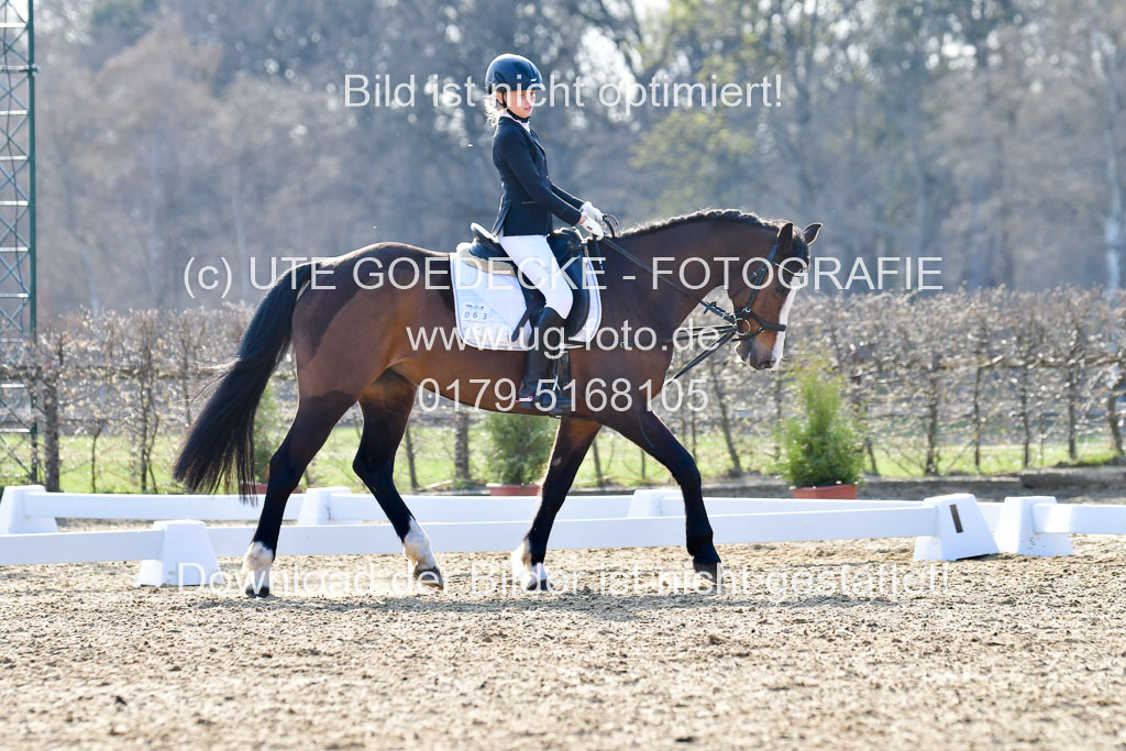 Reitsportzentrum Bremervörde | Dressurreiter WB _044 