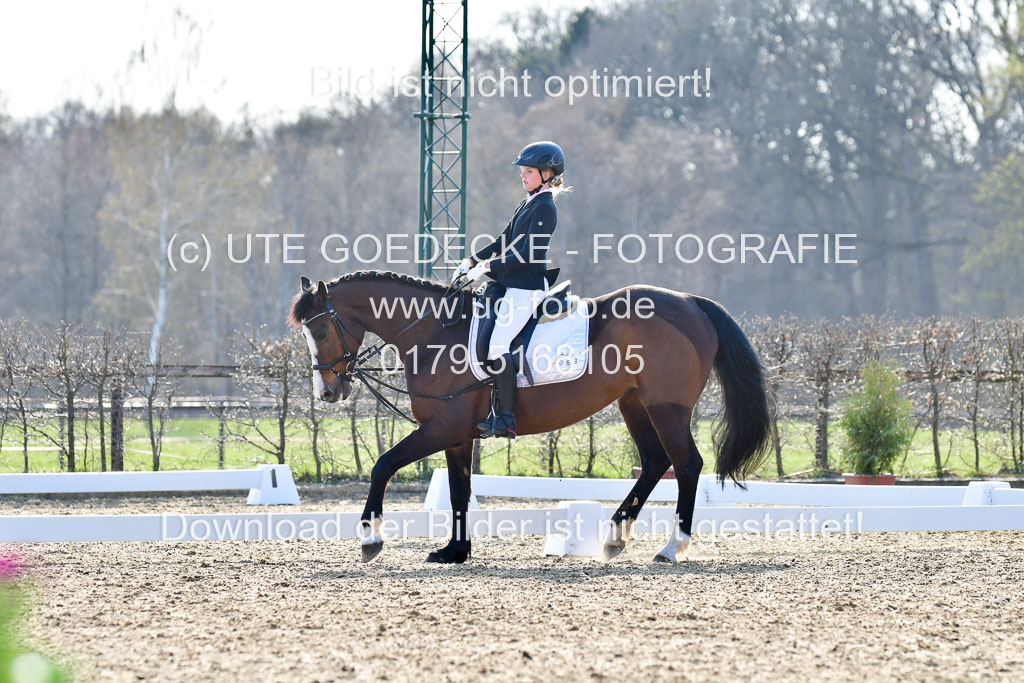 Reitsportzentrum Bremervörde | Dressurreiter WB _048