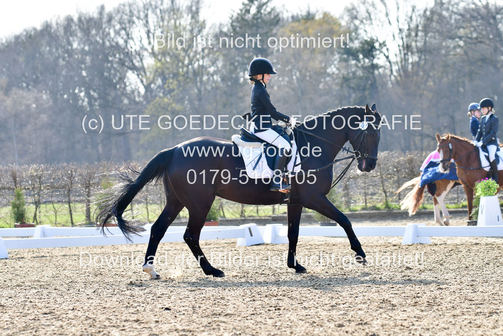 Reitsportzentrum Bremervörde | Dressurreiter WB _049