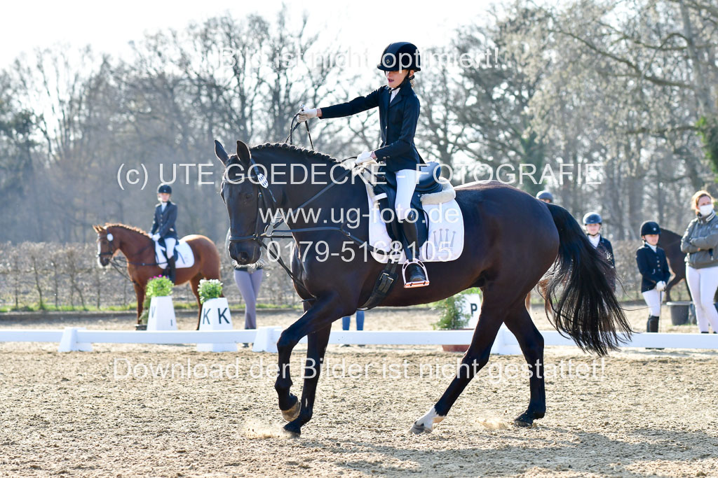 Reitsportzentrum Bremervörde | Dressurreiter WB _055