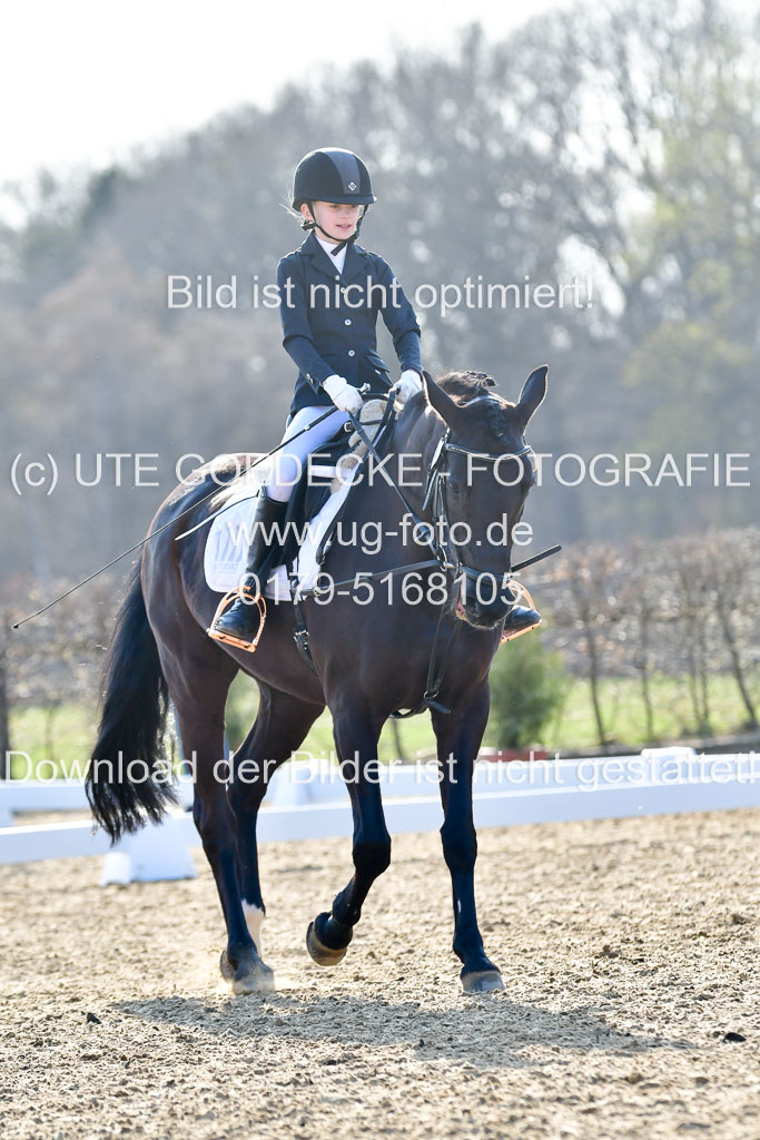 Reitsportzentrum Bremervörde | Dressurreiter WB _056