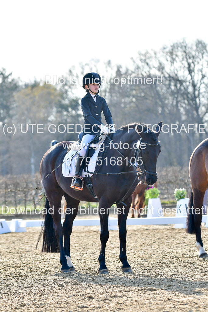 Reitsportzentrum Bremervörde | Dressurreiter WB _057 