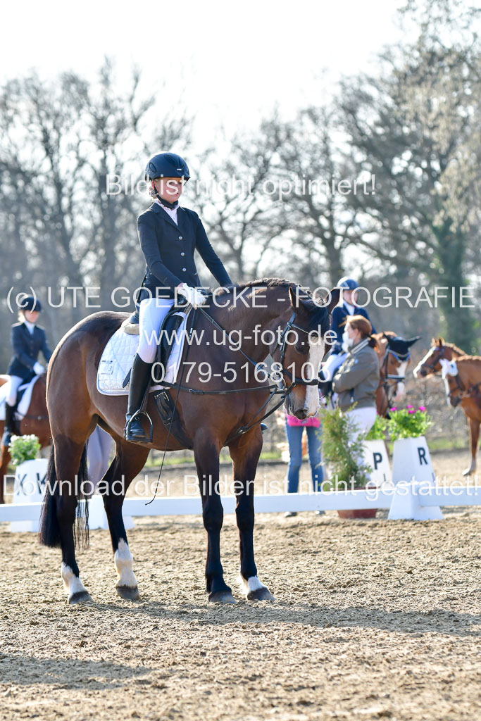 Reitsportzentrum Bremervörde | Dressurreiter WB _058