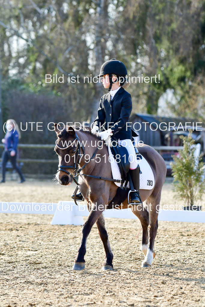 Reitsportzentrum Bremervörde | Dressurreiter WB _060