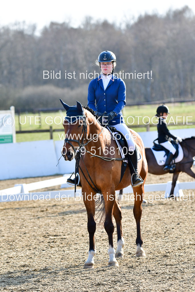 Reitsportzentrum Bremervörde | Dressurreiter WB _061