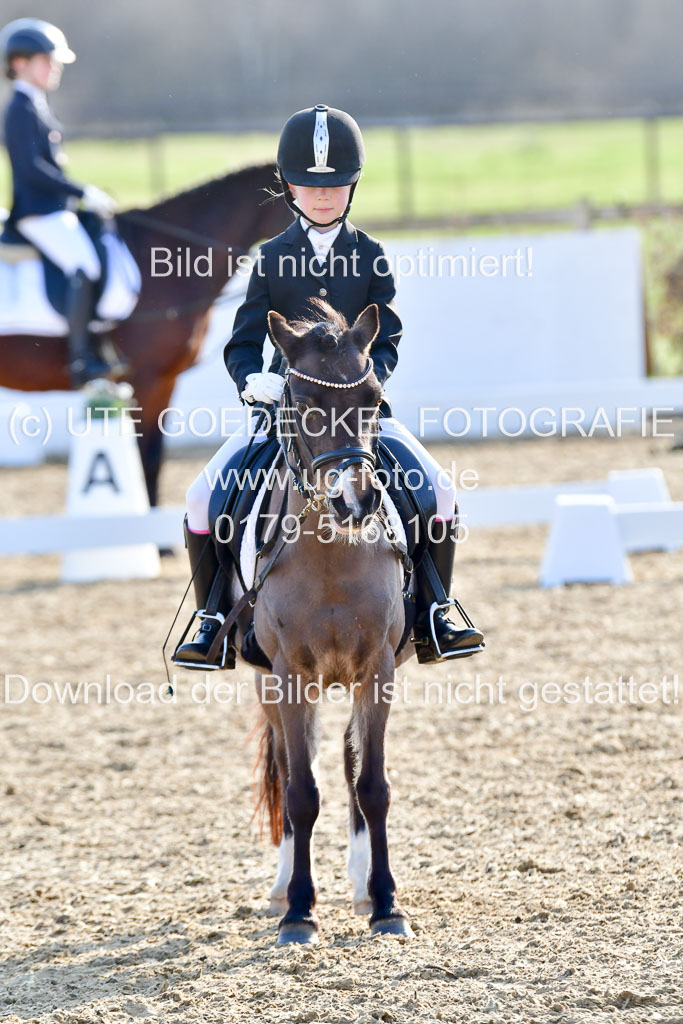 Reitsportzentrum Bremervörde | Dressurreiter WB _064