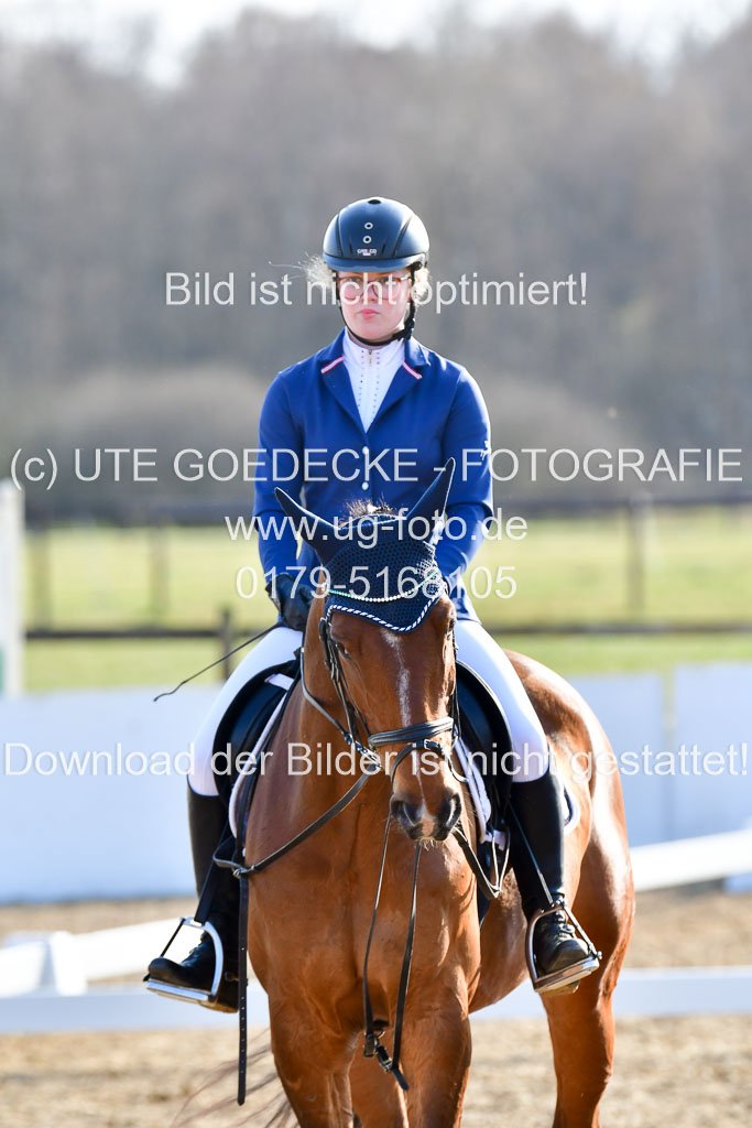 Reitsportzentrum Bremervörde | Dressurreiter WB _065 