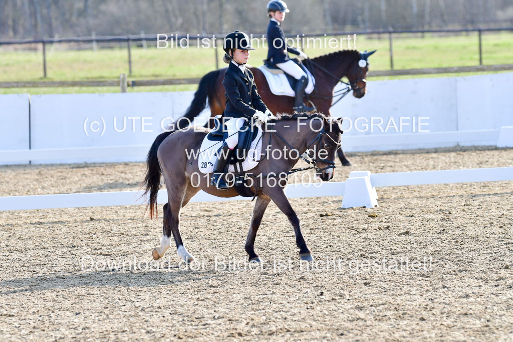 Reitsportzentrum Bremervörde | Dressurreiter WB _069