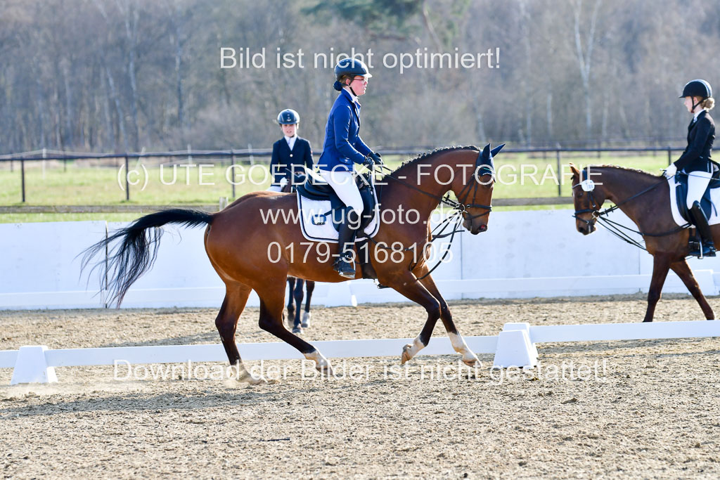 Reitsportzentrum Bremervörde | Dressurreiter WB _074