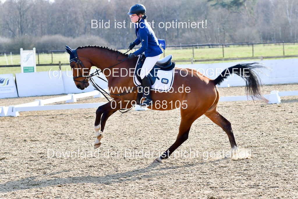 Reitsportzentrum Bremervörde | Dressurreiter WB _075 