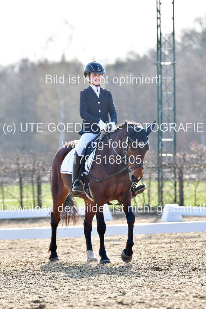 Reitsportzentrum Bremervörde | Dressurreiter WB _079 