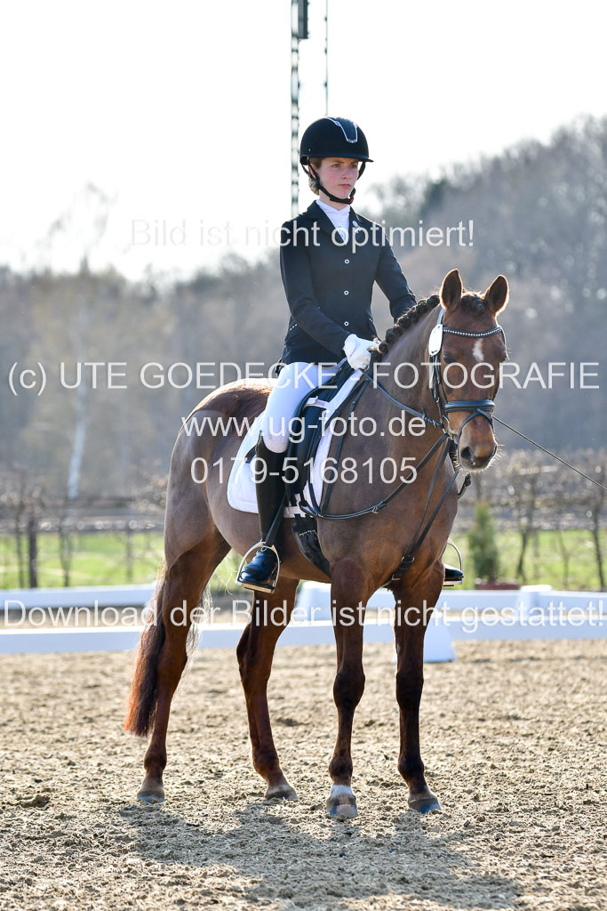 Reitsportzentrum Bremervörde | Dressurreiter WB _080 