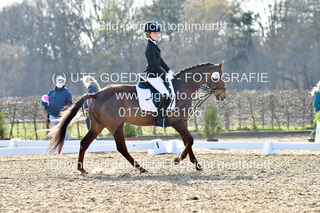 Reitsportzentrum Bremervörde | Dressurreiter WB _088