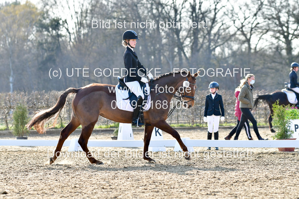 Reitsportzentrum Bremervörde | Dressurreiter WB _090