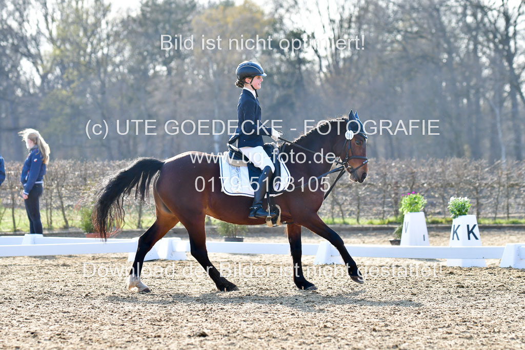 Reitsportzentrum Bremervörde | Dressurreiter WB _091 