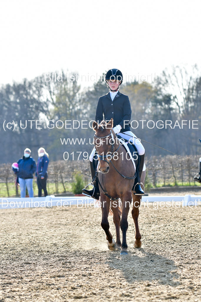 Reitsportzentrum Bremervörde | Dressurreiter WB _096 