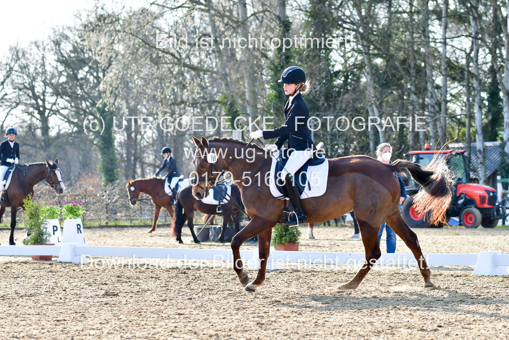 Reitsportzentrum Bremervörde | Dressurreiter WB _098