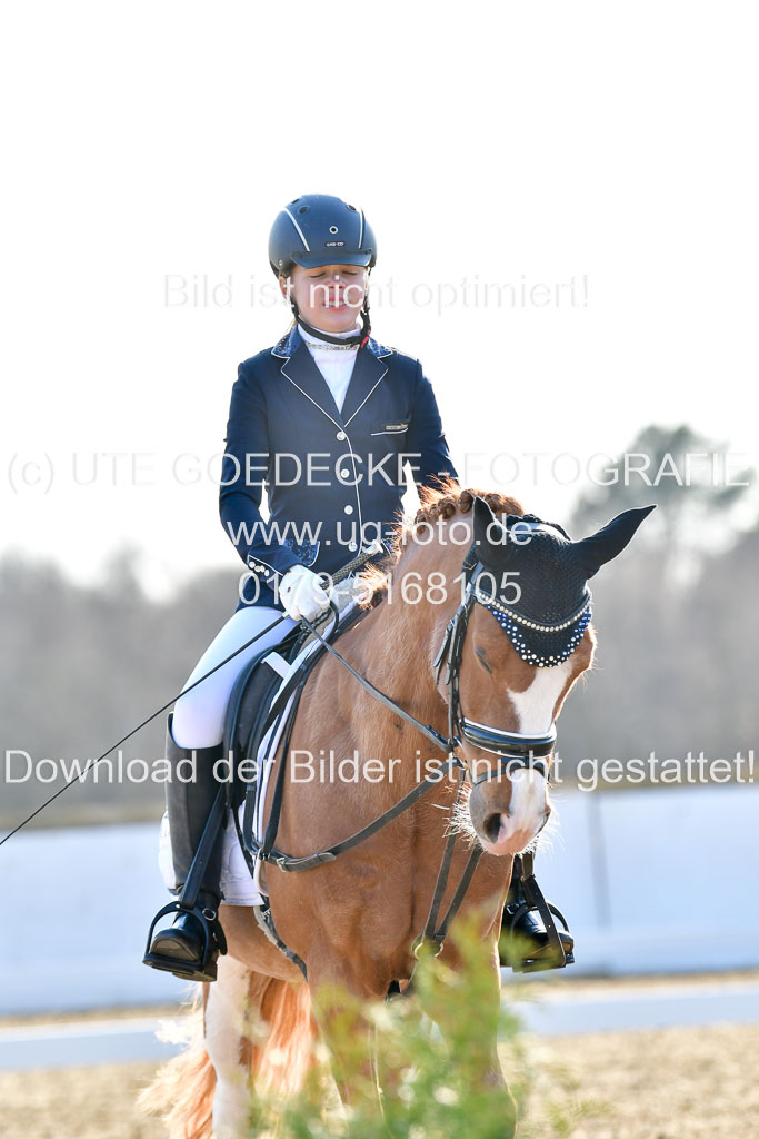 Reitsportzentrum Bremervörde | Dressurreiter WB _113