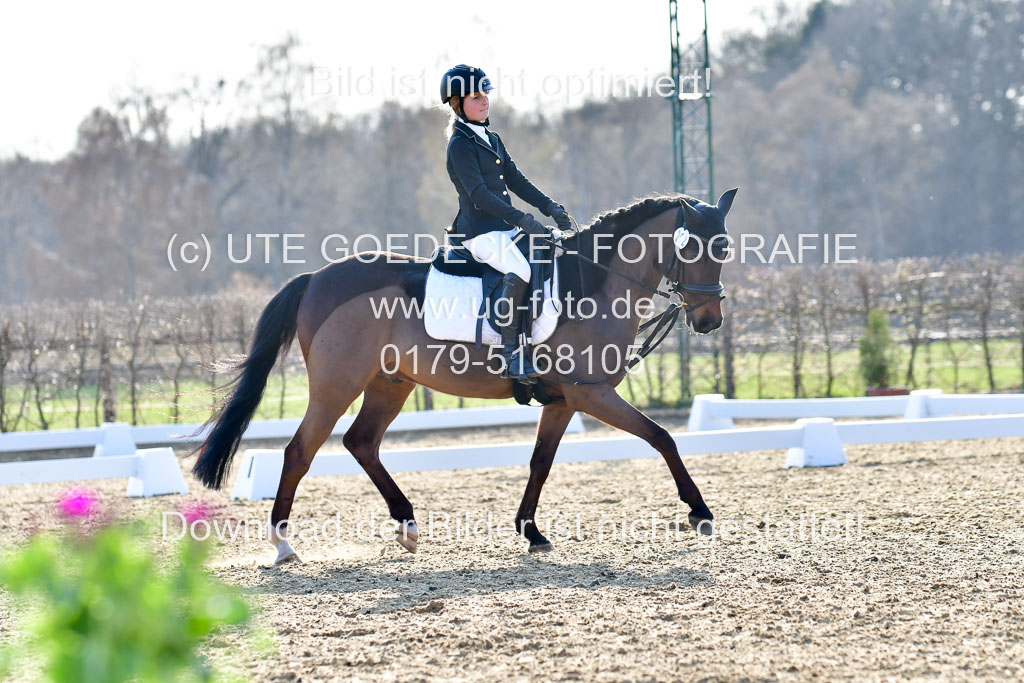 Reitsportzentrum Bremervörde | Dressurreiter WB _119