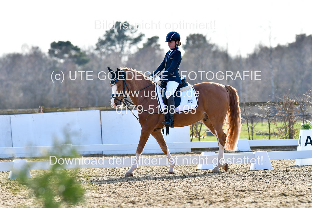 Reitsportzentrum Bremervörde | Dressurreiter WB _123