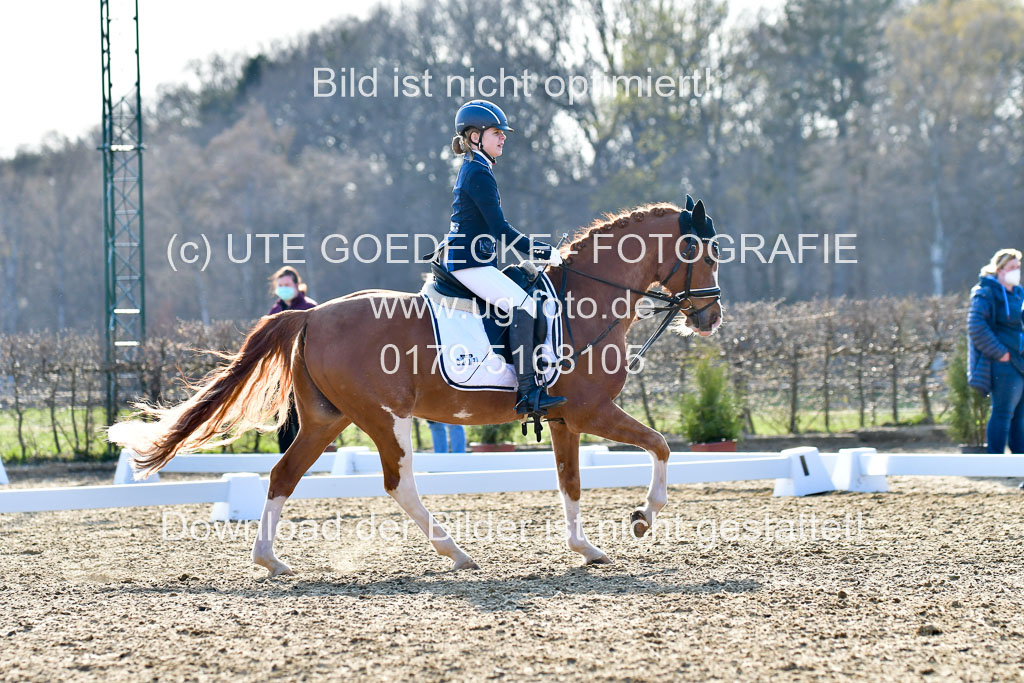 Reitsportzentrum Bremervörde | Dressurreiter WB _128