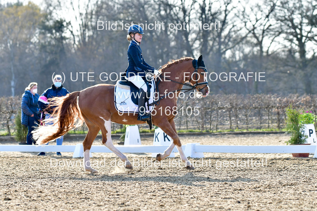 Reitsportzentrum Bremervörde | Dressurreiter WB _130