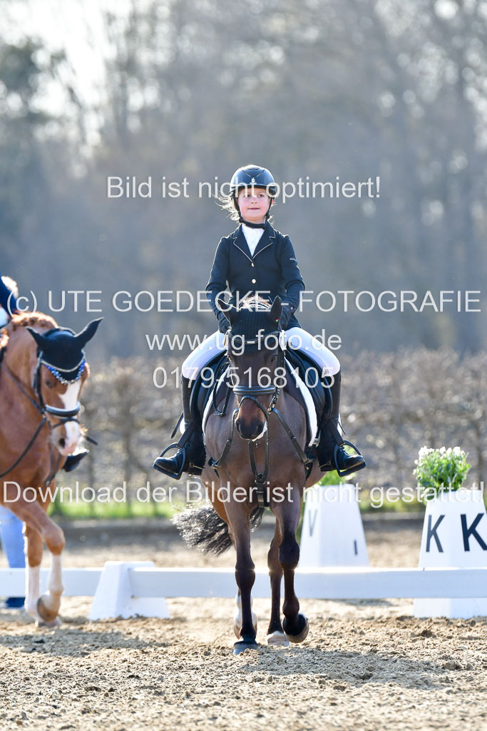 Reitsportzentrum Bremervörde | Dressurreiter WB _132 