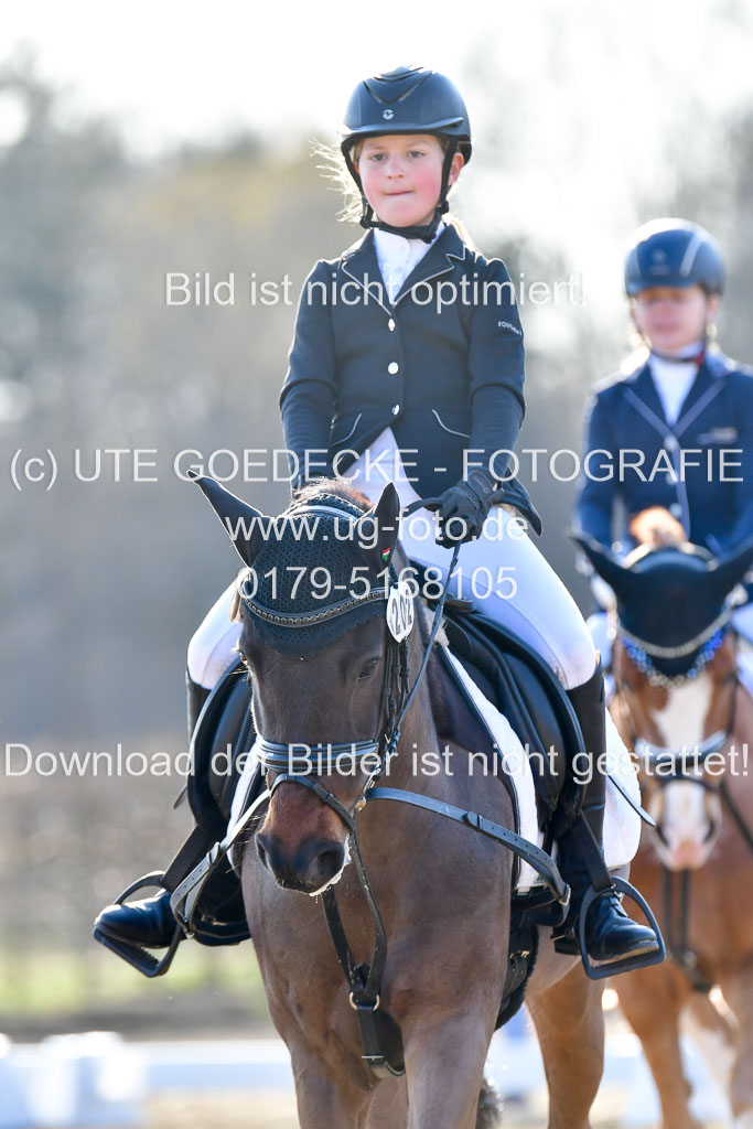 Reitsportzentrum Bremervörde | Dressurreiter WB _134