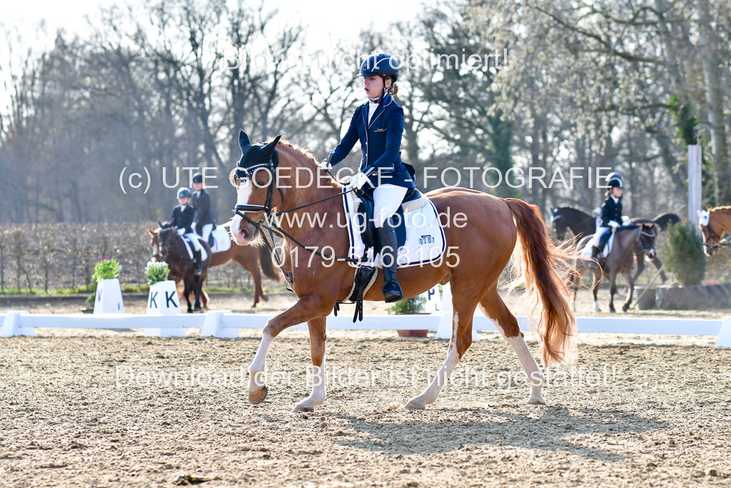 Reitsportzentrum Bremervörde | Dressurreiter WB _139