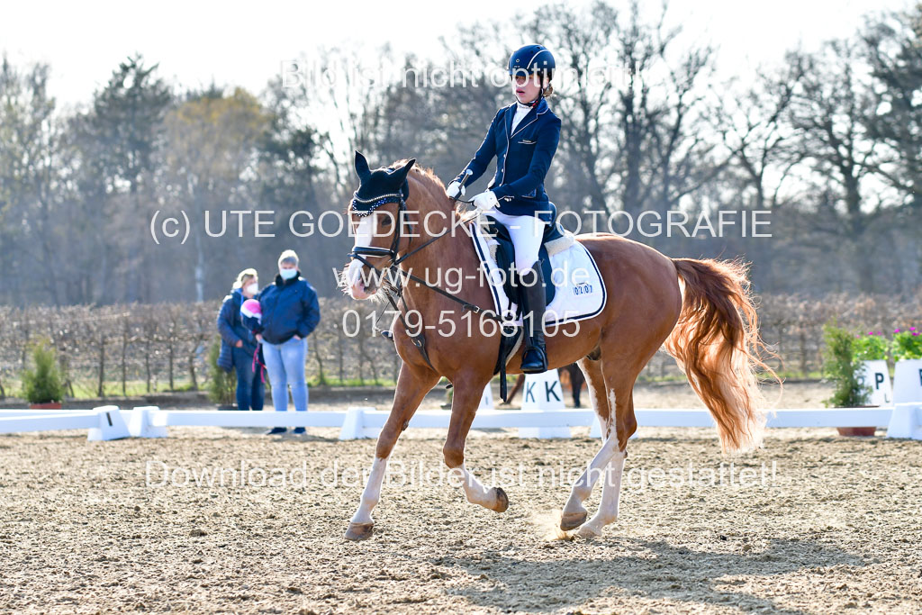 Reitsportzentrum Bremervörde | Dressurreiter WB _140 