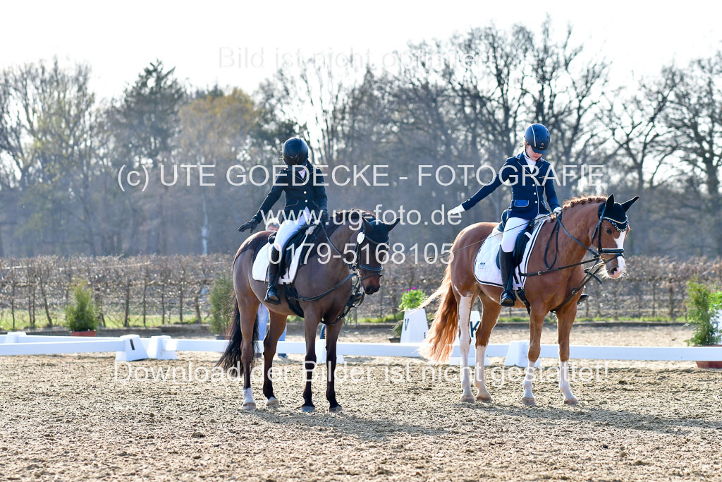 Reitsportzentrum Bremervörde | Dressurreiter WB _143 