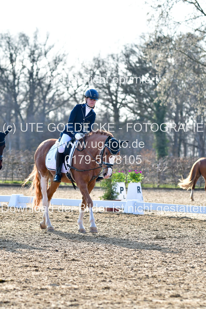 Reitsportzentrum Bremervörde | Dressurreiter WB _144 