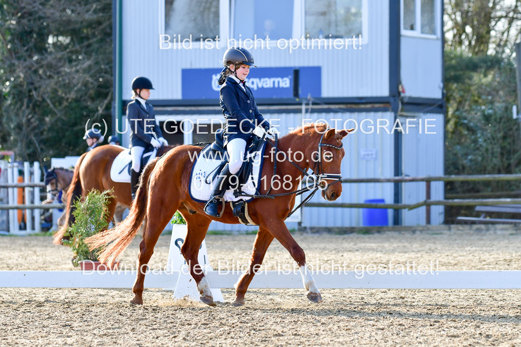 Reitsportzentrum Bremervörde | Dressurreiter WB _147 