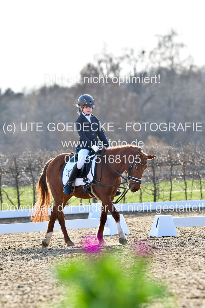 Reitsportzentrum Bremervörde | Dressurreiter WB _151