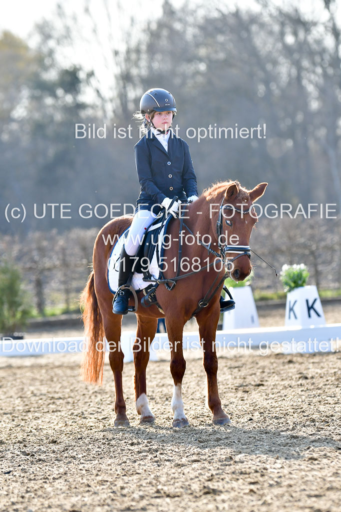 Reitsportzentrum Bremervörde | Dressurreiter WB _156