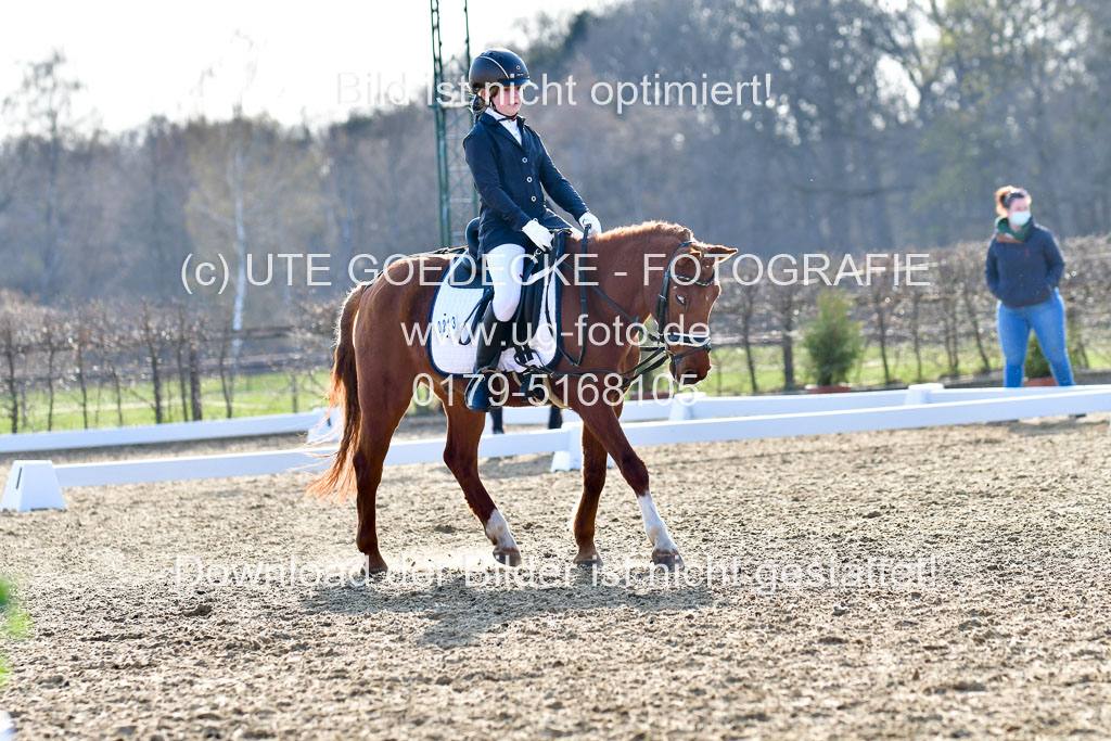 Reitsportzentrum Bremervörde | Dressurreiter WB _158