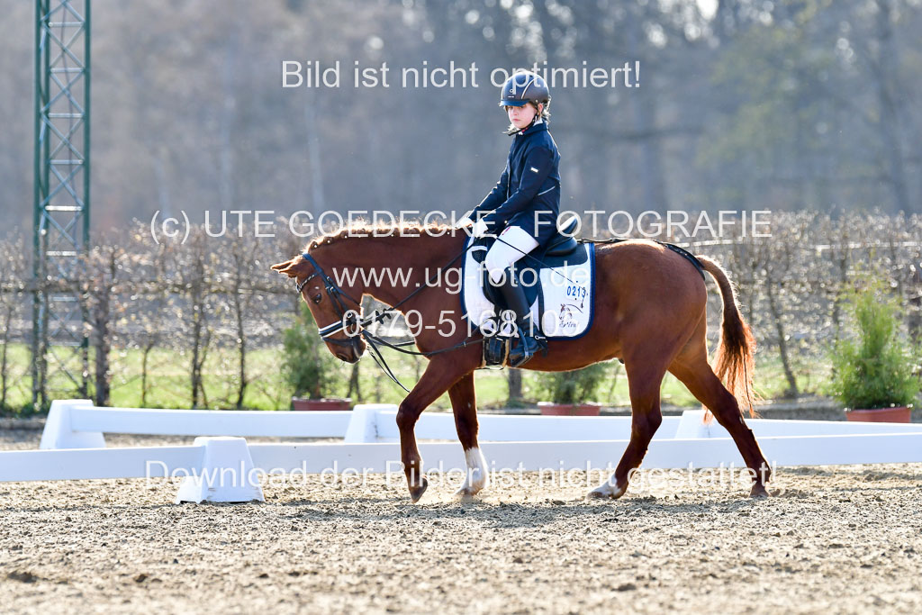 Reitsportzentrum Bremervörde | Dressurreiter WB _161 