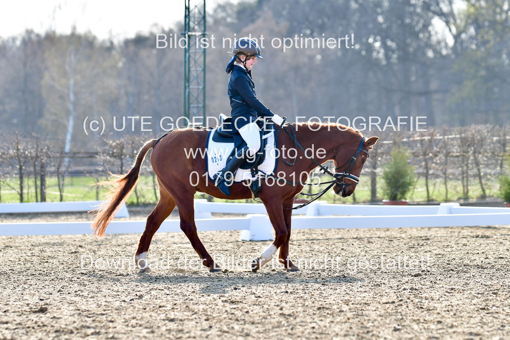 Reitsportzentrum Bremervörde | Dressurreiter WB _163